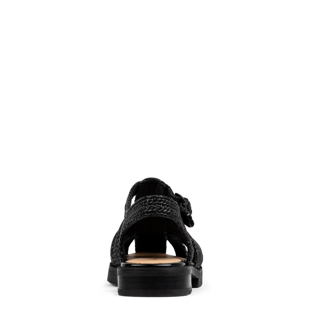 LAYNA - Black | Donald Pliner Casual