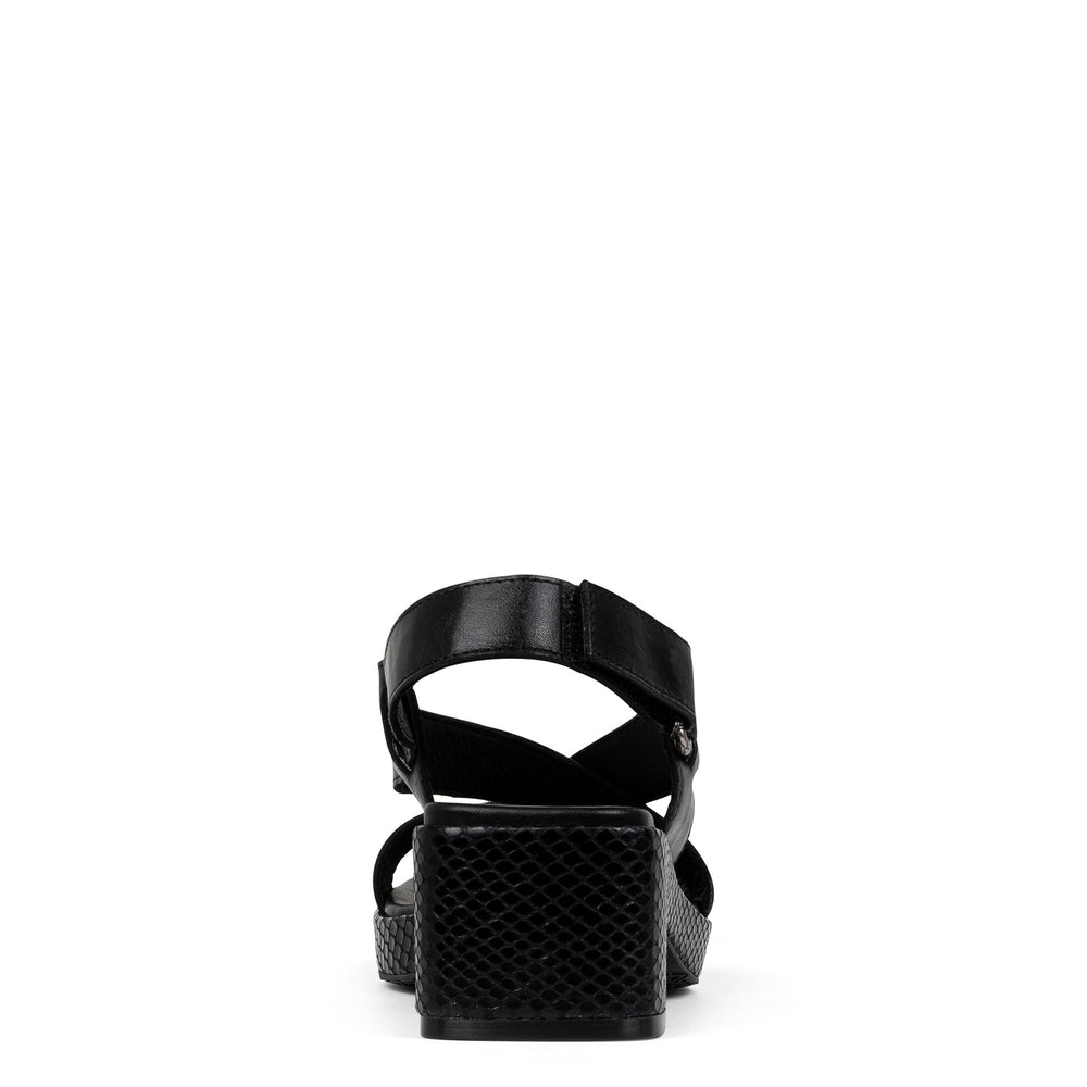 ROMIN - Black | Donald Pliner Casual