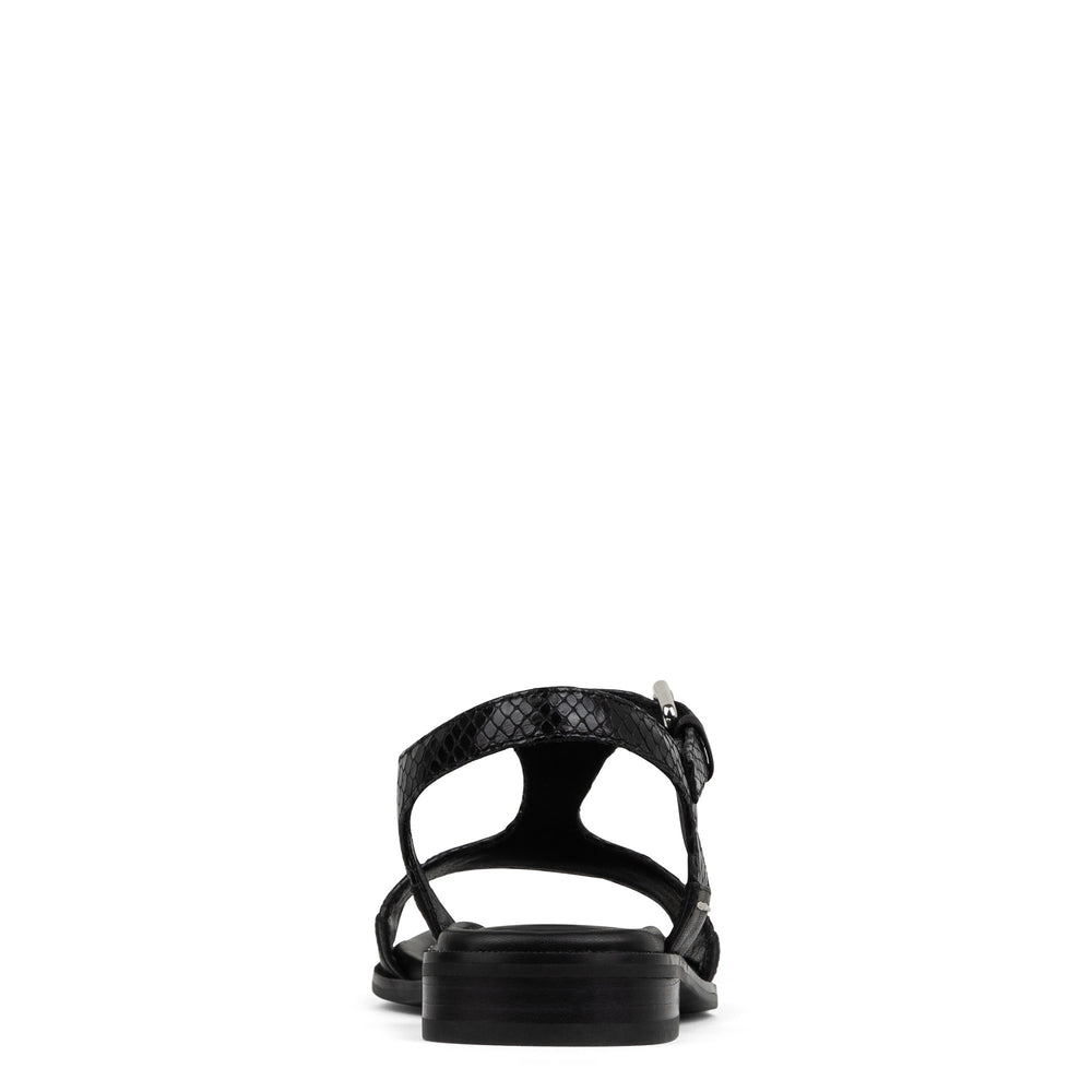 DRIA - Black | Donald Pliner Casual