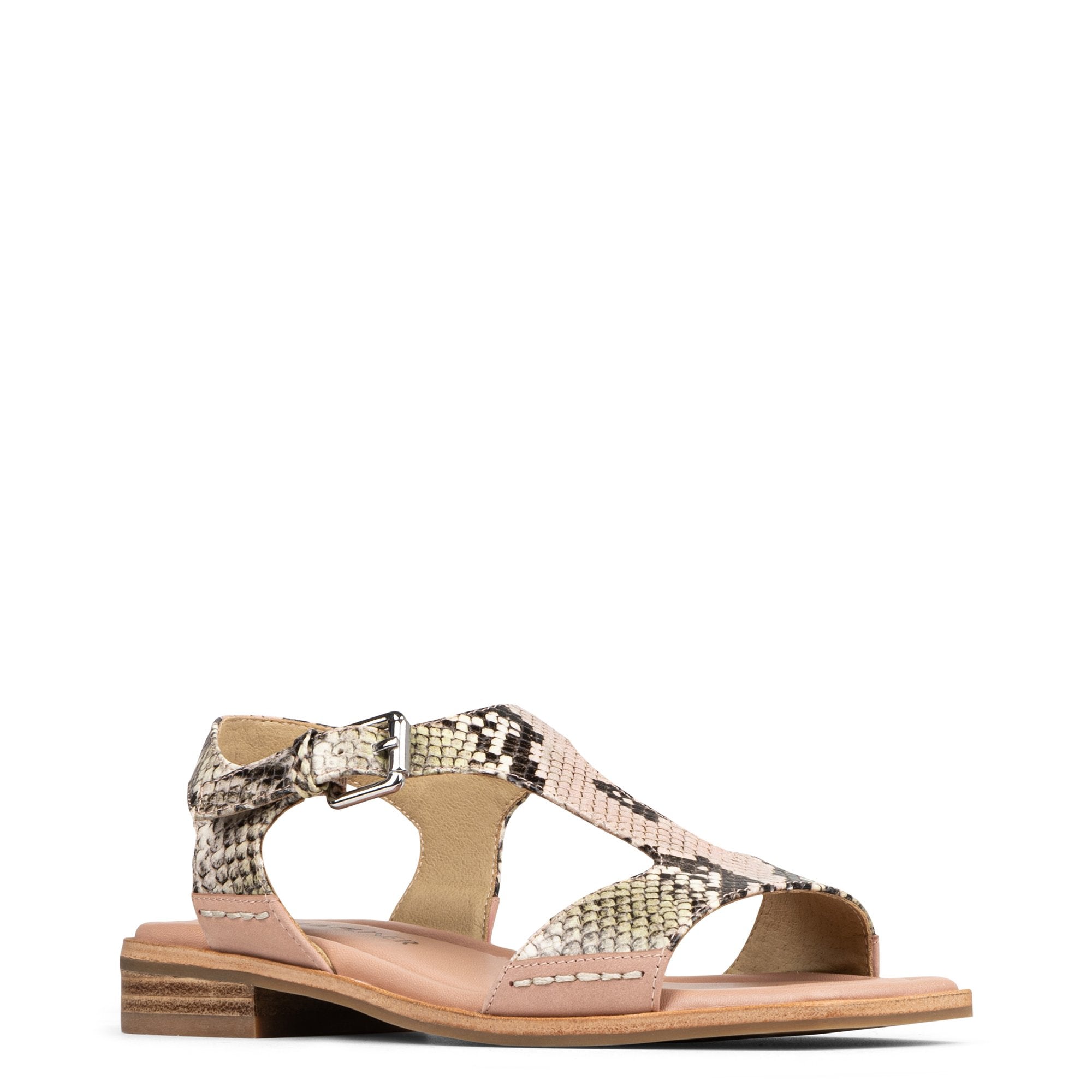 DRIA - Rosette | Donald Pliner Casual
