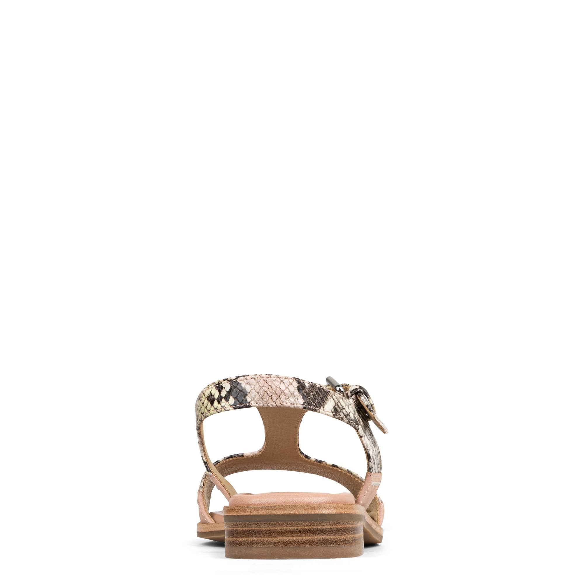 DRIA - Rosette | Donald Pliner Casual