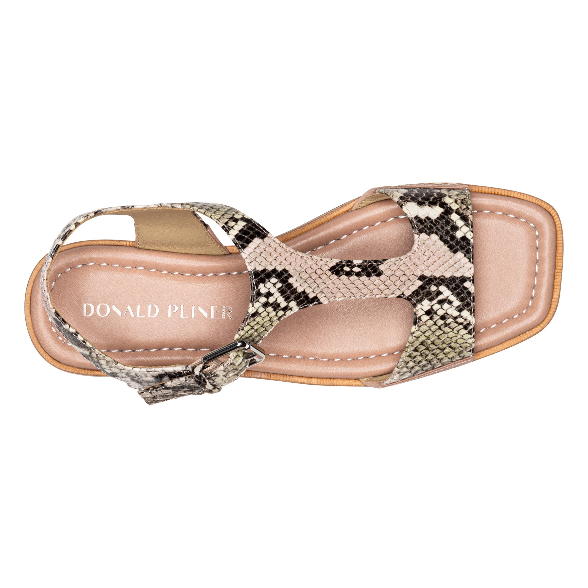 DRIA - Rosette | Donald Pliner Casual