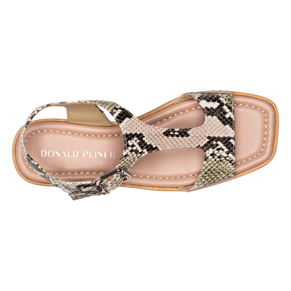 DRIA - Rosette | Donald Pliner Casual
