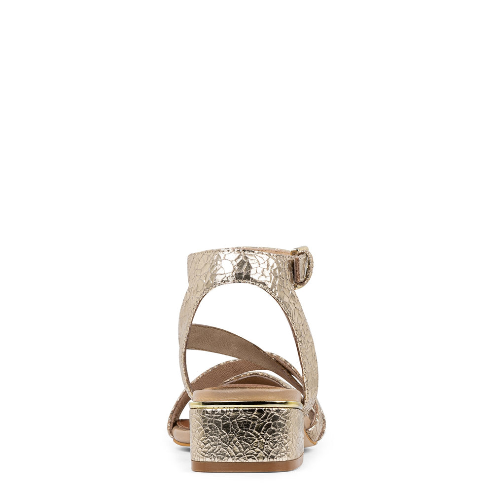 FRANNIE - Platino | Donald Pliner Casual