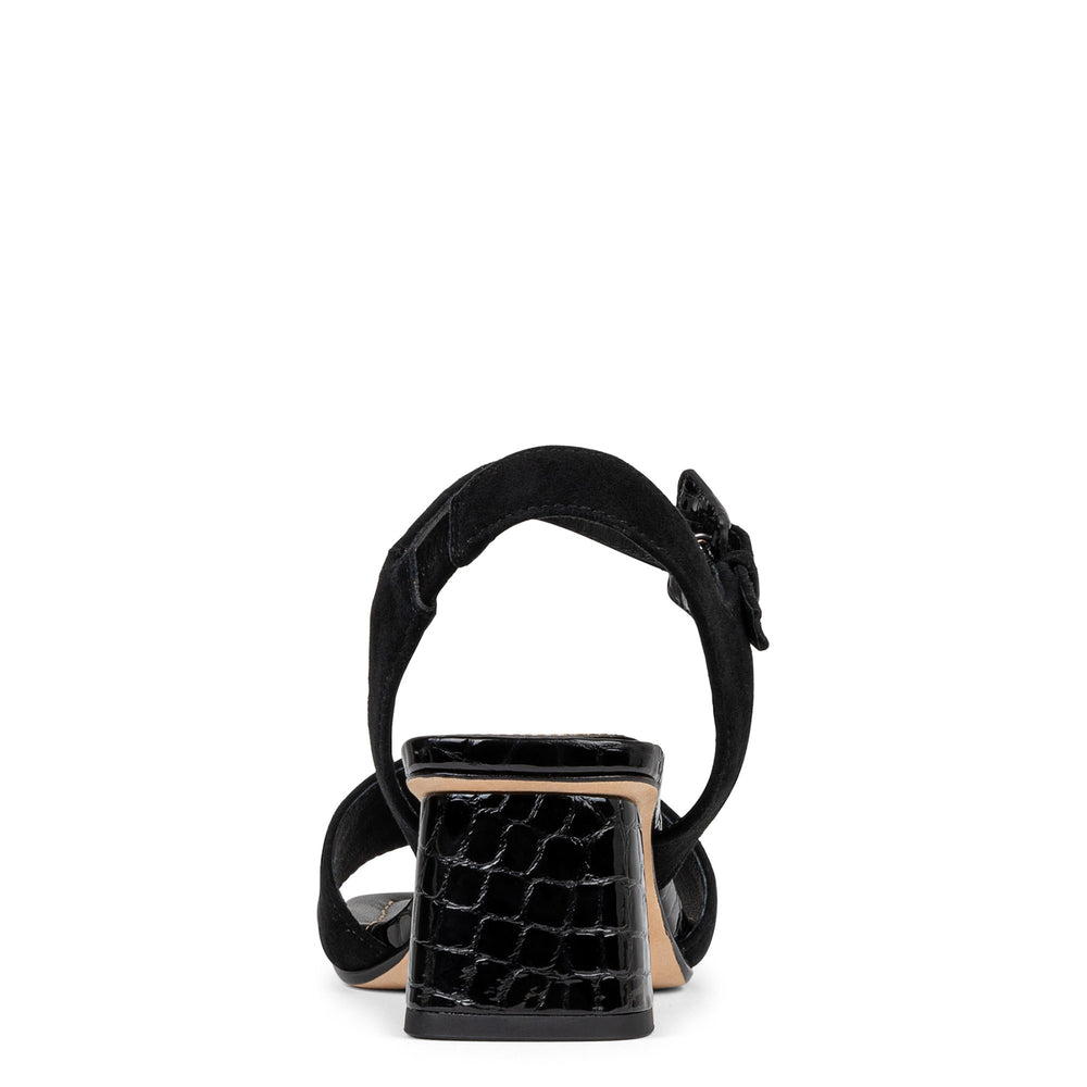 AARO - Black Suede | Donald Pliner Casual
