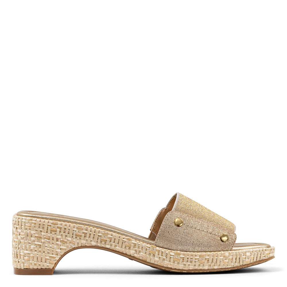 RODEO - Platino | Donald Pliner Casual