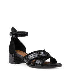 AVAI - Black | Donald Pliner Casual